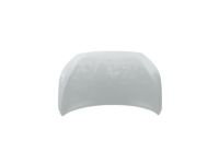 Hyundai 66400-J3000 Hood Panel Assembly