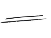 Hyundai 82231-F2000 Front Door Belt Weatherstrip Inside Left Hand
