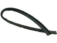 Hyundai 82180-3M000 Weatherstrip Assembly-Front Door Lower,RH