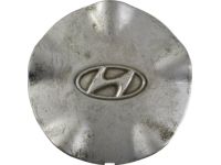 Hyundai 52960-27610 Aluminium Wheel Hub Cap Assembly Hyundai 52960-27610 Aluminium Wheel Hub Cap Assembly