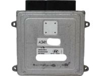 Hyundai 39104-2G341 Computer Engine Control Module Hyundai 39104-2G341 Computer Engine Control Module