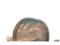 Hyundai 45562-3D000 D-Ring