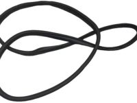 Hyundai 82110-F3000-4X Front Door Body Side Weatherstrip Left Hand Hyundai 82110-F3000-4X Front Door Body Side Weatherstrip Left Hand