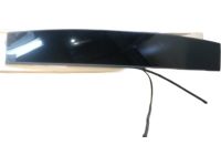 Hyundai 81620-L1000 Front Panorama Roof Glass Assembly