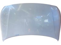 Hyundai 66400-J0000 Hood Panel Assembly