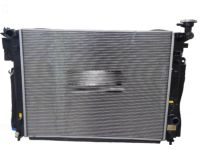 Hyundai 25310-D2000 Radiator Assembly