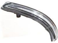 Hyundai 87613-D3100 Outside Mirror Lamp Assembly Left Hand