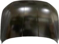 Hyundai 66400-CW000 Hood Panel Assembly