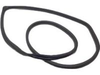 Hyundai 83110-G2000 Rear Door Body Side Weatherstrip Left Hand