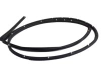 Hyundai 83140-3Y000 Rear Door Side Weatherstrip Assembly Right Hand