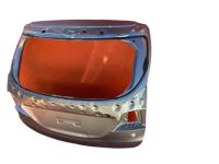 Hyundai 73700-B8030 Tail Gate Panel Assembly Hyundai 73700-B8030 Tail Gate Panel Assembly