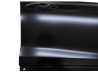 Hyundai 76121-S1000 Front Door Outer Panel Right Hand Hyundai 76121-S1000 Front Door Outer Panel Right Hand