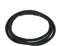 Hyundai 82110-2V000 Front Door Body Side Weatherstrip Left Hand