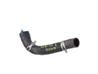 Hyundai 25415-F2100 Hose Assembly-Radaator,Lower