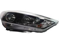 Hyundai 92102-D3050 Right Headlamp Assembly
