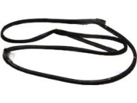 Hyundai 83130-F3000 Rear Door Weatherstrip Assembly Side Left Hand