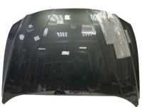 Hyundai 66400-AA000 Hood Panel Assembly Hyundai 66400-AA000 Hood Panel Assembly