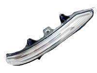 Hyundai 87623-D2000 Outside Mirror Lamp Assembly Right Hand
