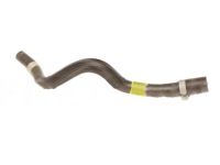 Hyundai 25450-D3200 Hose & Clamp Assembly Hyundai 25450-D3200 Hose & Clamp Assembly