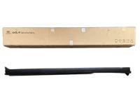 Hyundai 87751-GI000-CA Side Sill Moulding Assembly Left Hand Hyundai 87751-GI000-CA Side Sill Moulding Assembly Left Hand