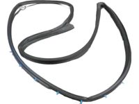 Hyundai 82140-G3000 Front Door Side Weatherstrip Assembly Right Hand