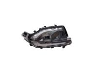 Hyundai 87624-S8000 Outside Mirror Lamp Assembly Right Hand