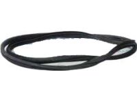 Hyundai 83120-3Y000 Rear Door Body Side Weatherstrip Right Hand