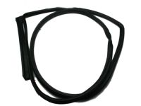 Hyundai 83140-J0000 Rear Door Side Weatherstrip Assembly Right Hand Hyundai 83140-J0000 Rear Door Side Weatherstrip Assembly Right Hand