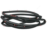 Hyundai 82140-2W000 Front Door Side Weatherstrip Assembly Right Hand Hyundai 82140-2W000 Front Door Side Weatherstrip Assembly Right Hand