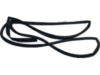 Hyundai 83130-3Y000 Rear Door Weatherstrip Assembly Side Left Hand