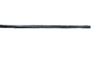Hyundai 83210-2D000 Rear Outside Door Belt Weatherstrip Assembly Left Hand