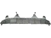 Hyundai 86531-CW000 Front Bumper Grille