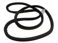 Hyundai 87321-J9000 Weatherstrip-Tail Gate Opening