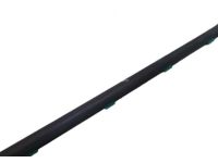 Hyundai 83210-A5000 Rear Outside Door Belt Weatherstrip Assembly Left Hand