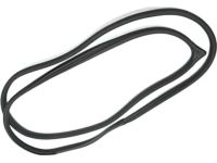 Hyundai 82110-3X000 Front Door Body Side Weatherstrip Left Hand