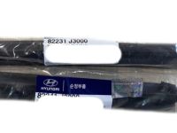 Hyundai 82241-J3000 Front Door Belt Weatherstrip Inside Right Hand
