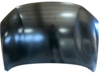 Hyundai 66400-K5000 PANEL ASSY-HOOD Hyundai 66400-K5000 PANEL ASSY-HOOD