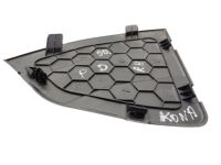 Hyundai 86163-J9000 Cover-After Serivce,RH Hyundai 86163-J9000 Cover-After Serivce,RH