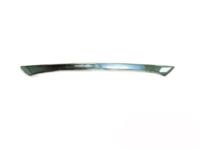 Hyundai 87317-2Q000 Protector