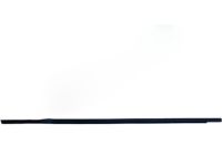 Hyundai 82220-22000 Front Door Belt Outside Rh Weatherstrip Assembly