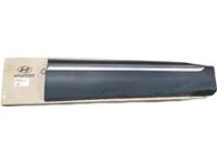 Hyundai 87722-S1200-SCR Front Door Side Garnish Assembly Right Hand