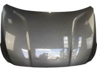 Hyundai 66400-S2000 Hood Panel Assembly Hyundai 66400-S2000 Hood Panel Assembly