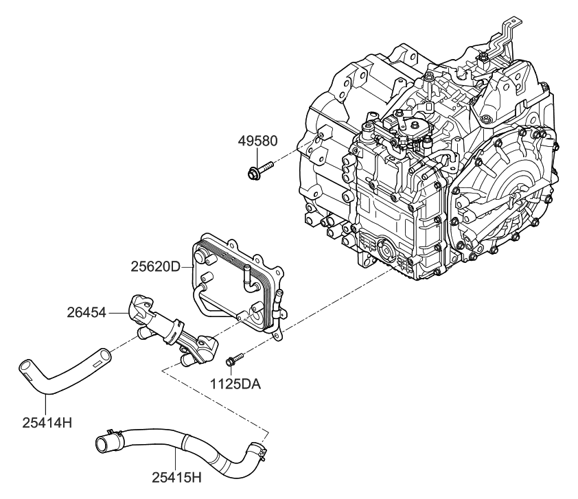 25415-L0010 Genuine Hyundai Hose Assembly-RADAATOR,LWR