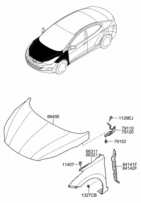 2013 Hyundai Elantra Fender & Hood Panel Diagram