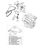 Diagram for Hyundai Drive Belt - 25212-25000