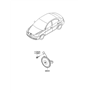 Diagram for Hyundai Accent Horn - 96620-1G000
