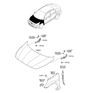Diagram for Hyundai Hood - 66400-1R110