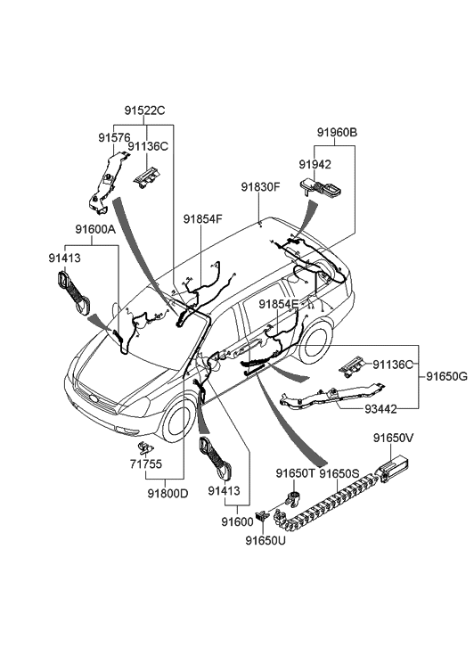 Hyundai 91650-4D030 Wiring Assembly-Rear Door, RH