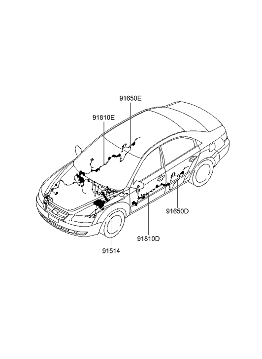 Hyundai 91660-3K010 Wiring Assembly-Rear Door RH