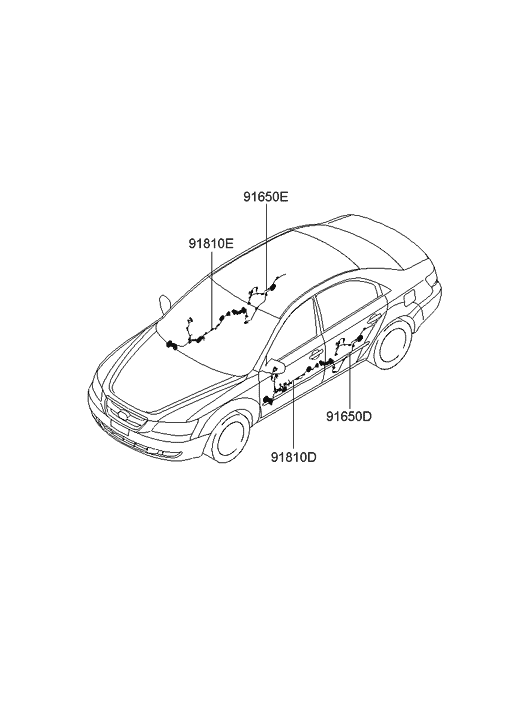Hyundai 91651-0A010 Wiring Assembly-Rear Door LH